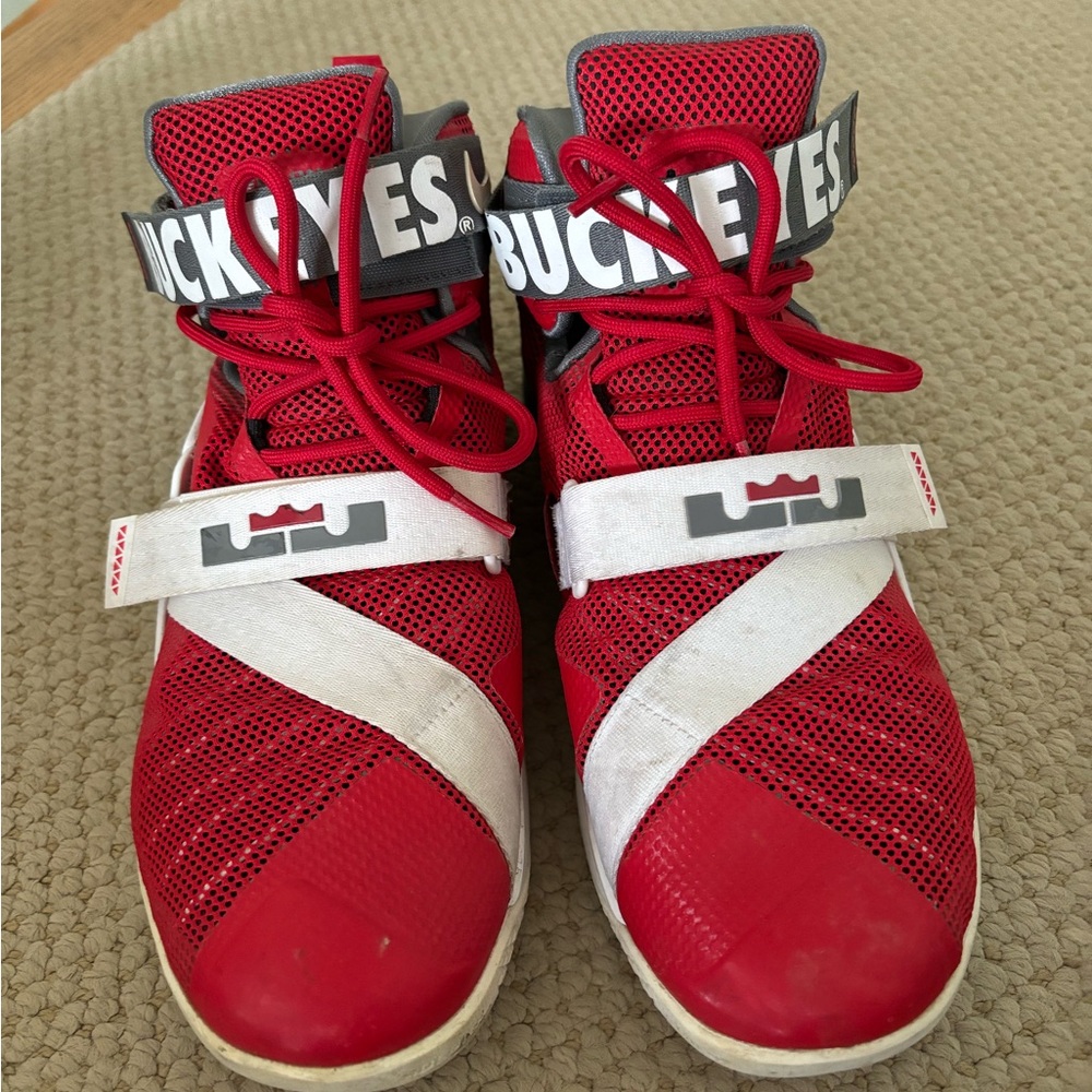 Lebron James Ohio buckeyes sneakers